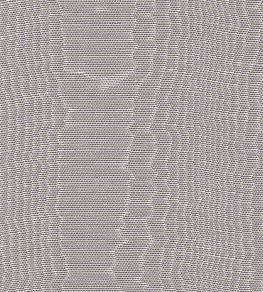 Misa Moire Plain Fabric by Marvic Grey Misa Moire Plain Fabric by Marvic Grey
