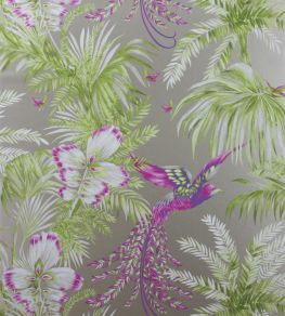 Bird Of Paradise Wallpaper by Matthew Williamson 3