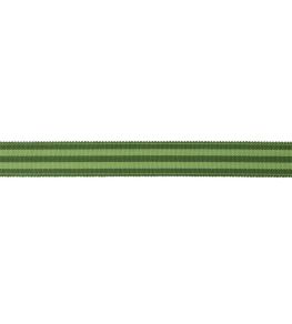 MDS Stripe Border 2.6cm Trimming by Samuel & Sons Evergreen MDS Stripe Border 2.6cm Trimming by Samuel & Sons Evergreen