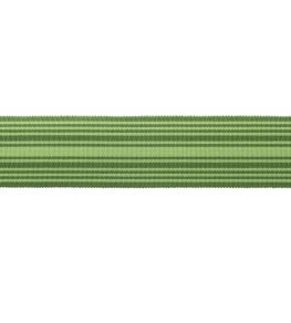 MDS Stripe Border 5.1cm Trimming by Samuel & Sons Evergreen MDS Stripe Border 5.1cm Trimming by Samuel & Sons Evergreen