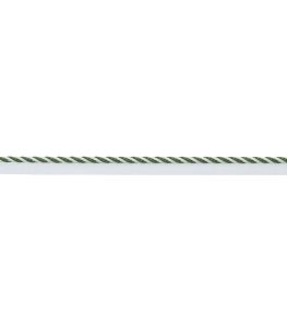 MDS Stripe Cord Trimming by Samuel & Sons Fern MDS Stripe Cord Trimming by Samuel & Sons Fern