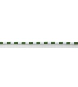 MDS Stripe Piping Trimming by Samuel & Sons Fern MDS Stripe Piping Trimming by Samuel & Sons Fern