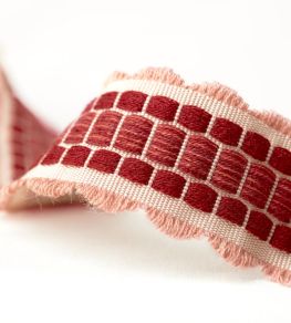 Melmerby Fan Braid Trimming by Sanderson Rose Melmerby Fan Braid Trimming by Sanderson Rose