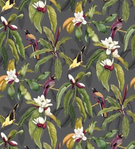 Michelia Wallpaper by Osborne & Little 1 Michelia Wallpaper by Osborne & Little 1