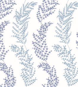 Mimosa Trail Wallpaper by Ohpopsi Blue Mimosa Trail Wallpaper by Ohpopsi Blue