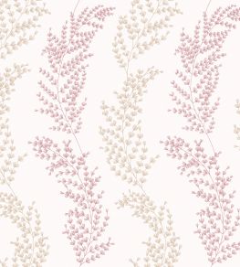 Mimosa Trail Wallpaper by Ohpopsi Blush Mimosa Trail Wallpaper by Ohpopsi Blush