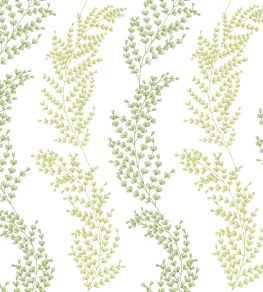 Mimosa Trail Wallpaper by Ohpopsi Olive Mimosa Trail Wallpaper by Ohpopsi Olive