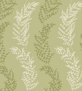 Mimosa Trail Wallpaper by Ohpopsi Sage Olive Mimosa Trail Wallpaper by Ohpopsi Sage Olive