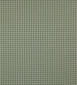 Minack Check Fabric by Colefax and Fowler Green Minack Check Fabric by Colefax and Fowler Green