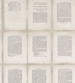 Inside Book Wallpaper by MINDTHEGAP Taupe Inside Book Wallpaper by MINDTHEGAP Taupe