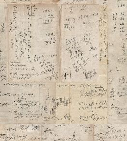 Math Wallpaper by MINDTHEGAP Taupe Math Wallpaper by MINDTHEGAP Taupe