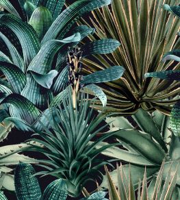 Lush Succulents Wallpaper by MINDTHEGAP Black,Green Lush Succulents Wallpaper by MINDTHEGAP Black,Green