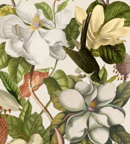 Magnolia Wallpaper by MINDTHEGAP Taupe Magnolia Wallpaper by MINDTHEGAP Taupe
