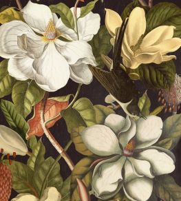 Magnolia Wallpaper by MINDTHEGAP Black,Green Magnolia Wallpaper by MINDTHEGAP Black,Green
