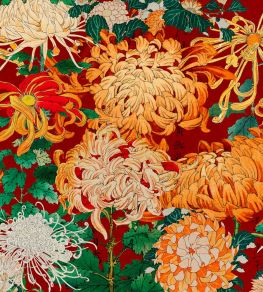Chrysanthemums Wallpaper by MINDTHEGAP Green, Red, Yellow Chrysanthemums Wallpaper by MINDTHEGAP Green, Red, Yellow