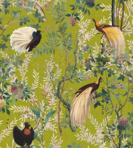 Royal Garden Wallpaper by MINDTHEGAP 65 Royal Garden Wallpaper by MINDTHEGAP 65