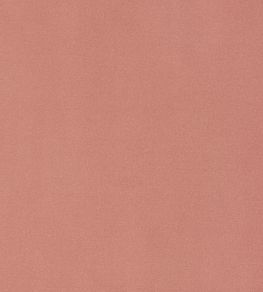 Mirasol Velvet Fabric by Thibaut Spice Mirasol Velvet Fabric by Thibaut Spice
