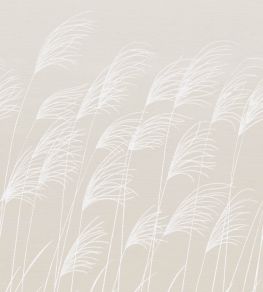 Miscanthus Mural by Harlequin Parchment/Frost Miscanthus Mural by Harlequin Parchment/Frost