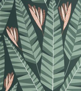 Jungle Wallpaper by MissPrint Rainforest Jungle Wallpaper by MissPrint Rainforest