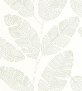 Moonlight Banana Tree Wallpaper by Caselio Vert Amande Moonlight Banana Tree Wallpaper by Caselio Vert Amande