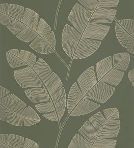 Moonlight Banana Tree Wallpaper by Caselio Vert Kaki Moonlight Banana Tree Wallpaper by Caselio Vert Kaki