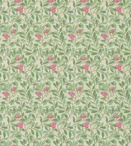 Arbutus Wallpaper by Morris & Co Olive/Pink