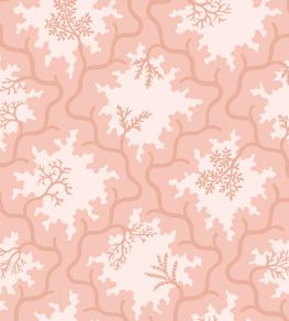 Moss Trellis Wallpaper by Cole & Son Soft Coral & Shell Pink Moss Trellis Wallpaper by Cole & Son Soft Coral & Shell Pink