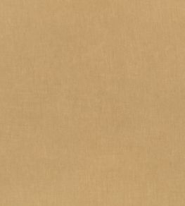 Motion Fabric by Kirkby Design Havana Motion Fabric by Kirkby Design Havana