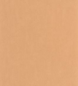 Nest Wallpaper by Casadeco Abricot Nest Wallpaper by Casadeco Abricot