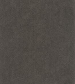 Nest Wallpaper by Casadeco Noir Reglisse Nest Wallpaper by Casadeco Noir Reglisse