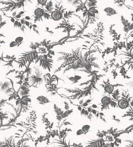 Newlands Toile Wallpaper by Anna French Black Newlands Toile Wallpaper by Anna French Black