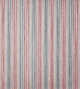 Nico Fabric by Prestigious Textiles Shell Nico Fabric by Prestigious Textiles Shell