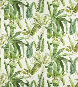 Benmore Fabric by Nina Campbell Green/Ivory