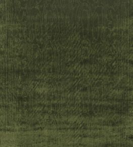 Cantabria Fabric by Nina Campbell Grass Green Cantabria Fabric by Nina Campbell Grass Green