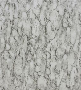 Kershaw Plain Wallpaper by Nina Campbell Black/Ivory