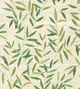 Oliveraie Grasscloth Wallpaper by Jannelli&Volpi Green/Sand Oliveraie Grasscloth Wallpaper by Jannelli&Volpi Green/Sand