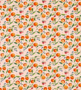Orange Blossom Fabric by Clarke & Clarke Blush Orange Blossom Fabric by Clarke & Clarke Blush