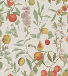 Orchard Fruits Wallpaper by Designers Guild Parchment Orchard Fruits Wallpaper by Designers Guild Parchment