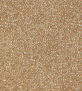 Orion Fabric by Clarke & Clarke Spice