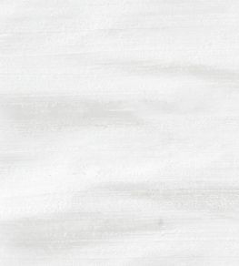 Orissa Silk Fabric by James Hare Ivory Orissa Silk Fabric by James Hare Ivory