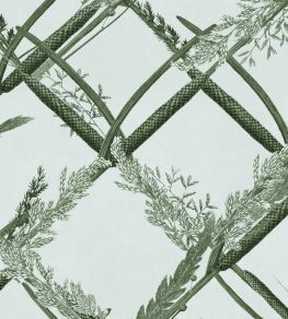 Ornamental Reed Wallpaper by MINDTHEGAP Greenlake Ornamental Reed Wallpaper by MINDTHEGAP Greenlake