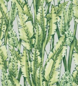Tiger Leaf Wallpaper by Osborne & Little 2
