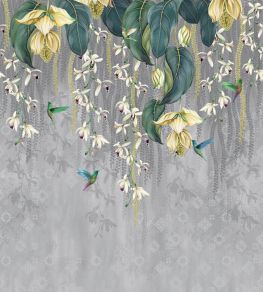 Trailing Orchid Mural by Osborne & Little 2 Trailing Orchid Mural by Osborne & Little 2