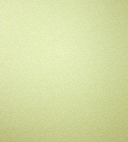 Oriole Wallpaper by Osborne & Little Pale Lime