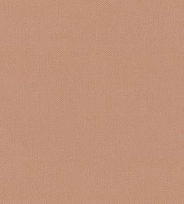 Oxford Fabric by Warwick Blush Oxford Fabric by Warwick Blush