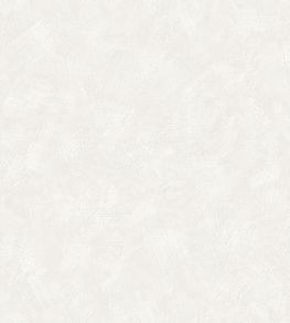 Painter's Wall Wallpaper by Borastapeter 589