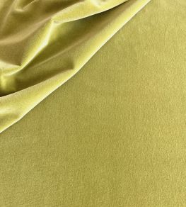 Palis Velvet Fabric by Ian Sanderson Asparagus