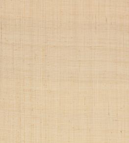 Palm Wallpaper by Mark Alexander Natural Palm Wallpaper by Mark Alexander Natural