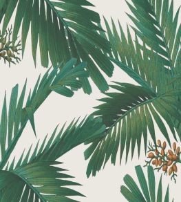 Palm Spring Wallpaper by Rebel Walls Pearl