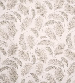 Pampas Grass Fabric by Prestigious Textiles Parchment Pampas Grass Fabric by Prestigious Textiles Parchment